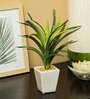 Green Pvc Dracaena Artificial Bonsai With White Ceramic Pot