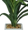 Green Pvc Dracaena Artificial Bonsai With White Ceramic Pot