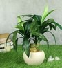 Green Pvc Refreshing Artificial Bonsai With White Ceramic Pot