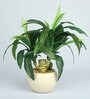 Green Pvc Refreshing Artificial Bonsai With White Ceramic Pot