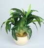 Green Pvc Refreshing Artificial Bonsai With White Ceramic Pot