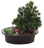 Green Shoe Horn Shaped Tree With Oar Shaoed Green Leaves Artificial Bonsai Plant with Pot