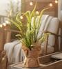 Green Silk Plastic And Jute Artificial Foxtail Grass Arrangement Flower Bunch With Jute Wrap