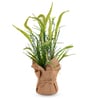 Green Silk Plastic And Jute Artificial Foxtail Grass Arrangement Flower Bunch With Jute Wrap