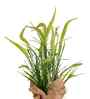 Green Silk Plastic And Jute Artificial Foxtail Grass Arrangement Flower Bunch With Jute Wrap
