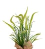 Green Silk Plastic And Jute Artificial Foxtail Grass Arrangement Flower Bunch With Jute Wrap