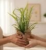Green Silk Plastic And Jute Artificial Foxtail Grass Arrangement Flower Bunch With Jute Wrap