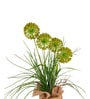 Green Silk Plastic And Jute Faux Allium Flower Bunch With Jute Wrap