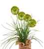 Green Silk Plastic And Jute Faux Allium Flower Bunch With Jute Wrap