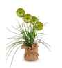 Green Silk Plastic And Jute Faux Allium Flower Bunch With Jute Wrap
