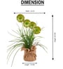 Green Silk Plastic And Jute Faux Allium Flower Bunch With Jute Wrap