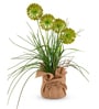 Green Silk Plastic And Jute Faux Allium Flower Bunch With Jute Wrap