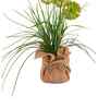 Green Silk Plastic And Jute Faux Allium Flower Bunch With Jute Wrap