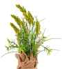 Green Silk Plastic And Jute Faux Pampas Grass Arrangement Flower Bunch With Jute Wrap