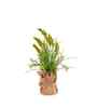 Green Silk Plastic And Jute Faux Pampas Grass Arrangement Flower Bunch With Jute Wrap