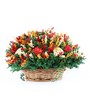 Green Sola Natural Dried Flowers In Kashmiri Basket