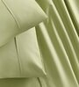 Green Solid 144 TC 100% Cotton King Bedsheet with 2 Pillow Covers