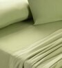 Green Solid 144 TC 100% Cotton King Bedsheet with 2 Pillow Covers