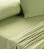 Green Solid 144 TC 100% Cotton Queen Bedsheet with 2 Pillow Covers