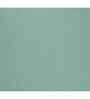 Green Solid 144 TC Cotton King Fitted Bedsheet Bedsheet 2 Pillow Shades Collection