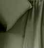 Green Solid 200 TC Cotton King Size Bed Sheet with 2 Pillow Covers 24 Collection