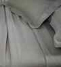 Green Solid 300 TC Cotton King Size Bed Sheet with 2 Pillow Covers 24 Collection