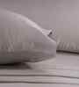 Green Solid 300 TC Tencel King Size Bed Sheet with 2 Pillow Covers 24 Collection