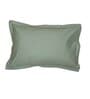 Green Solid 600 TC Cotton 1 King Bedsheet with 2 Pillow Cover