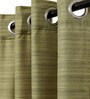 Green Striped Faux Silk 9 Ft Light Filtering Eyelet Door Curtain