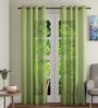 Green Solid Sheer 9 Feet Eyelet Curtains & Drapes