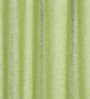 Green Solid Sheer 9 Feet Eyelet Curtains & Drapes