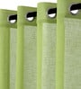 Green Solid Sheer 9 Feet Eyelet Curtains & Drapes