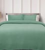Green Solid TC 120 Cotton Double Queen Bedcover With 2 Pillow Covers