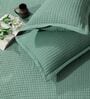 Green Solid TC 120 Cotton Double Queen Bedcover With 2 Pillow Covers