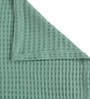 Green Solid TC 120 Cotton Double Queen Bedcover With 2 Pillow Covers