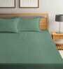 Green Striped 210 TC Poly Cotton Queen Sized Bed Sheets with 2 Pillow Covers