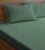 Green Striped 210 TC Poly Cotton Queen Sized Bed Sheets with 2 Pillow Covers