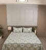 Green Stylized Floral Motifs 210 TC 100% Cotton Superking Bedsheet with 2 Pillow Covers