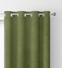 Green Velevt Solids 7ft Light Filtering Eyelet Door Curtain