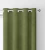 Green Velevt Solids 9ft Light Filtering Eyelet Long Door Curtain