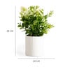 Green Zelen Potted Artificial Plant
