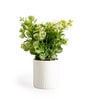 Green Zelen Potted Artificial Plant