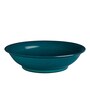 Greenwich  Green 400 Ml Stoneware 1 Pc  Large Shallow Dinner Bowl