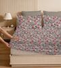 Grey & Red Glace Cotton Floral Print Elastic Fitted King Bedsheet With 2 Pillow Covers