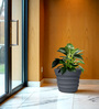 Grey BR Round 12 Inches Planter