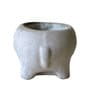 Grey Cement Sweet tooth- Elephant Handcrafted Planter
