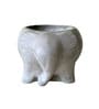Grey Cement Sweet tooth- Elephant Handcrafted Planter