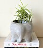 Grey Cement Sweet tooth- Elephant Handcrafted Planter