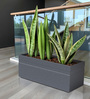 Grey GT rectangular 2411 Planter