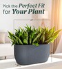 Grey PCTR rectangular 2411 Planter